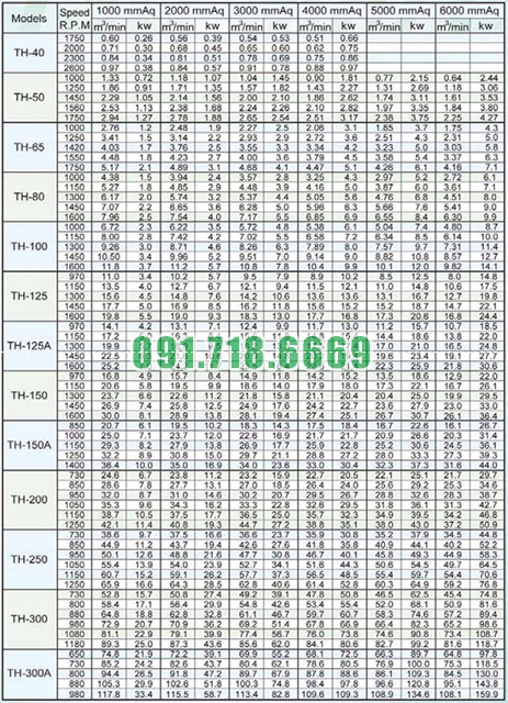 Thông số Máy thổi khí Trundean TH