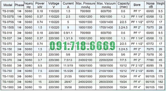 Thông số kỹ thuật máy thổi khí Trundean TS