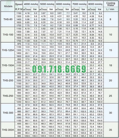 Thông số Máy thổi khí Trundean THS