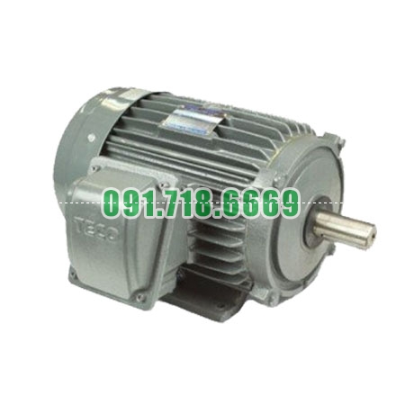 Bán Động cơ điện motor TECO AESV1S-1 giá rẻ chính hãng
